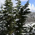 5 Sterne Auszeit Вильгельмсфельд