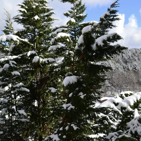 5 Sterne Auszeit Wilhelmsdorf